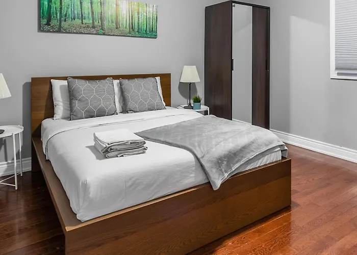 Pet-Friendly Apartment On Ossington Ave