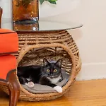 Room In Cozy House Close To Lawrence Ave, Wifi, Parking