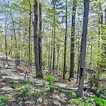 Entire House In Heart Of North York In The Nature