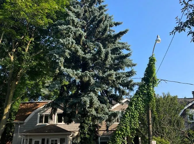 Cabbagetown Retreat