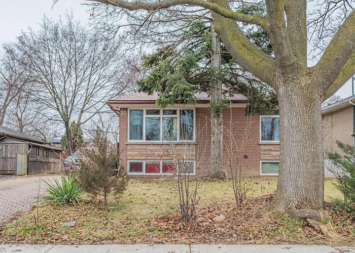 Littlewood Properties