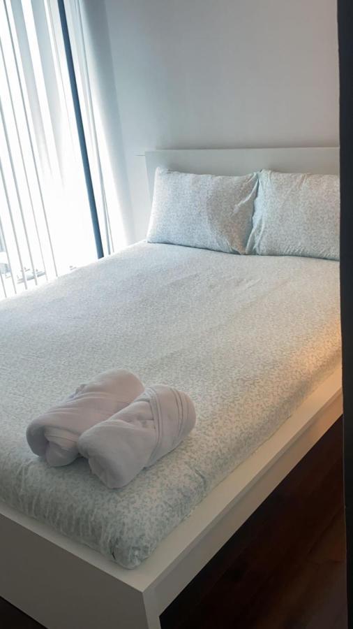 Downtown Suites Apartment