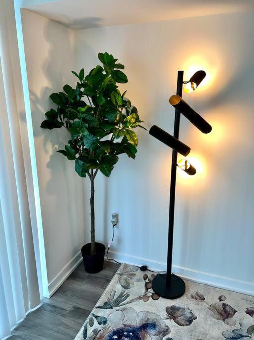 Luxurious In The Center Of Downtown Apartment Toronto