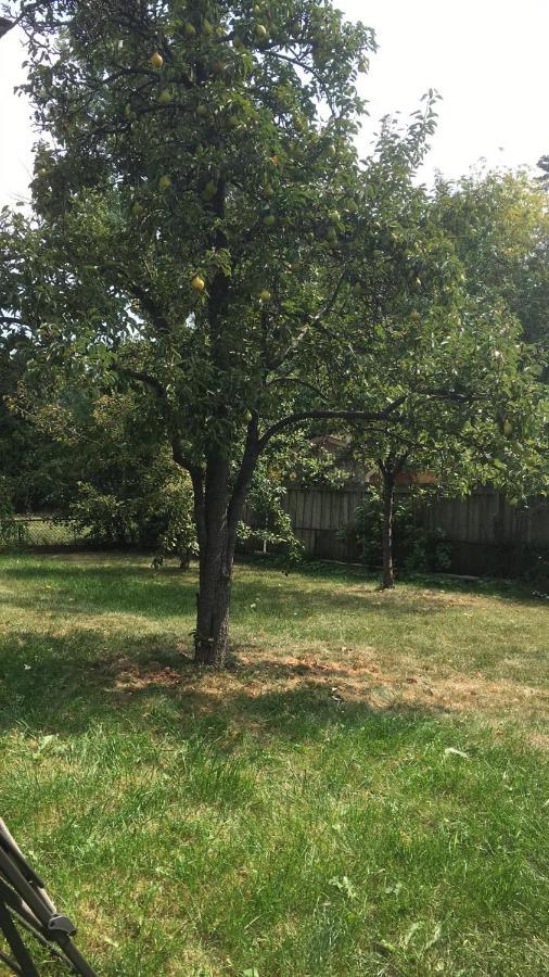 Spectacular 3 Bedroom 2 Wr House - Close To Airport Apartment *
