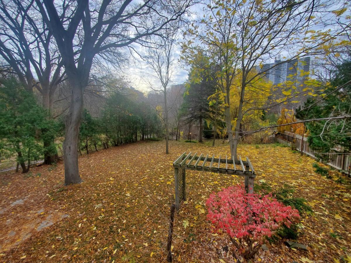 Don River - Boutique Guest house *