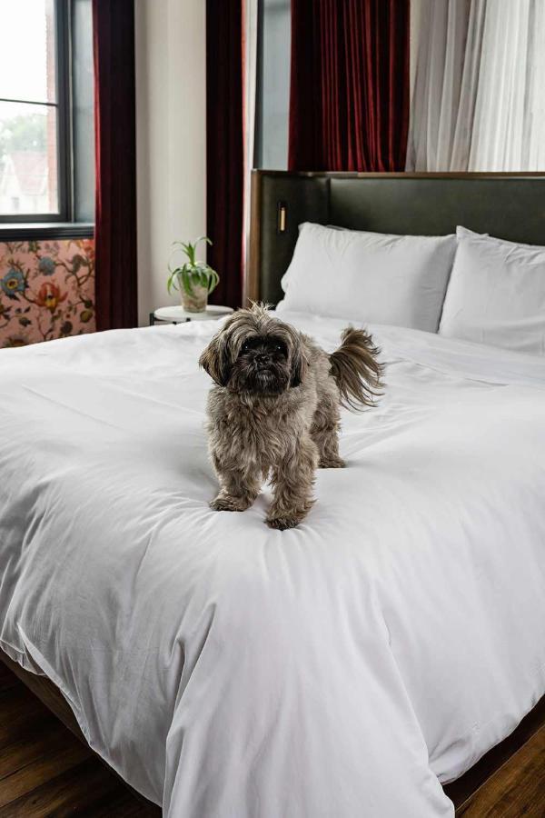 The Broadview 4*