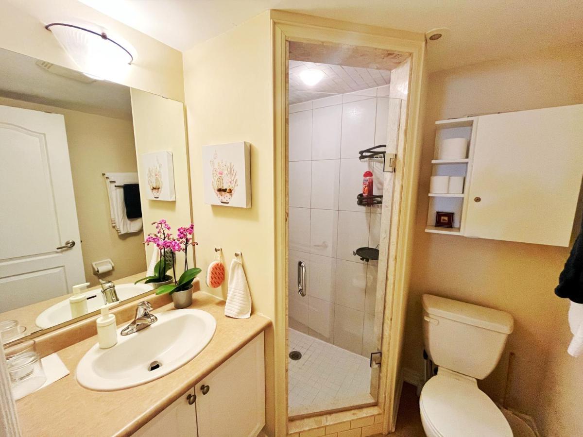 Apartment Bright Studio W Full Kitchen And Detached Bathroom Toronto