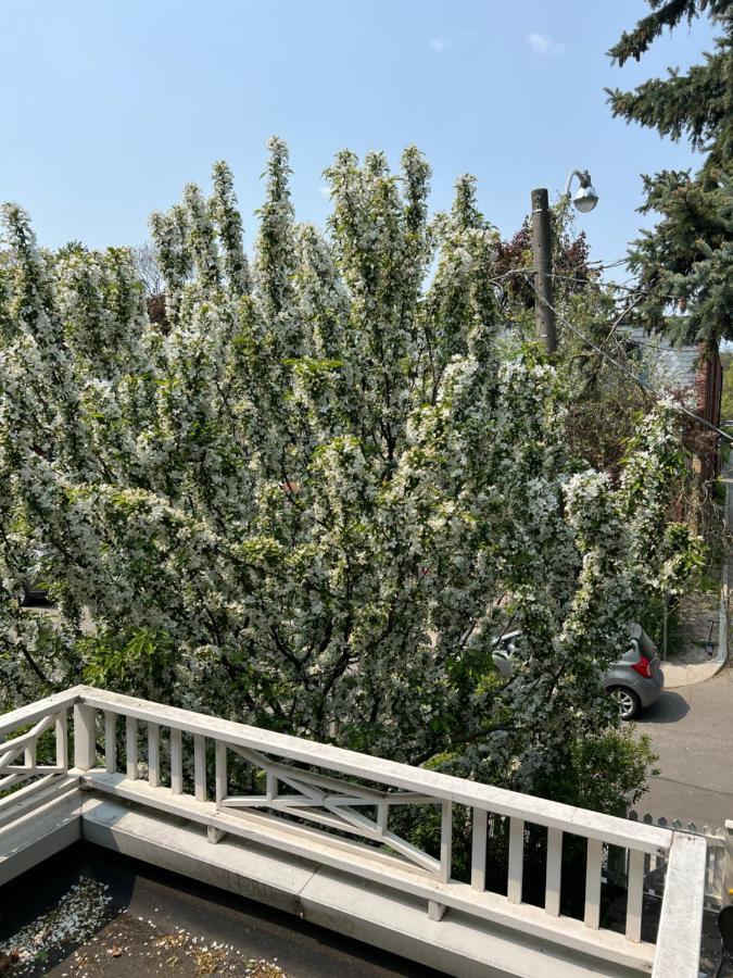 Cabbagetown Retreat Holiday home *