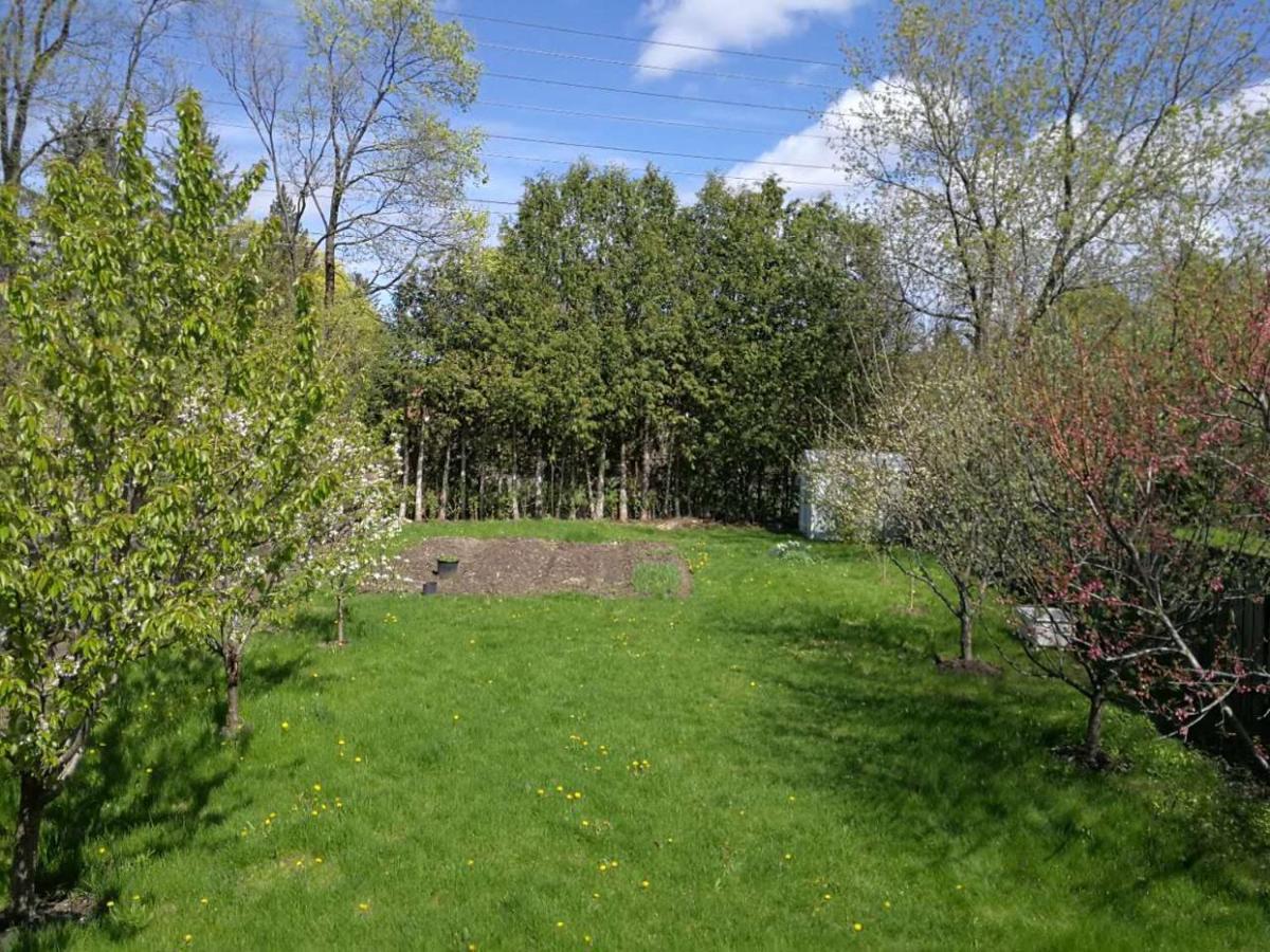 Homestay Spacious And Bright House Toronto