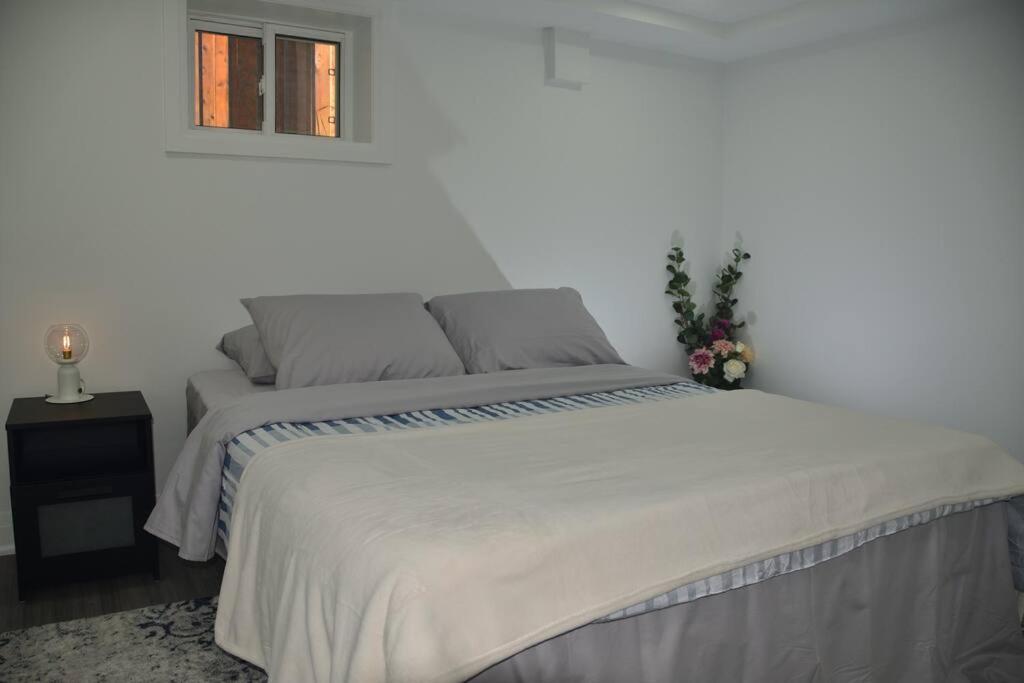 Entire Basement - 5 Guests 2 Bedrooms 3 Beds