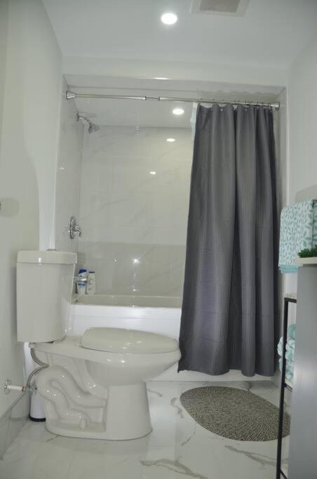 Apartment Entire Basement - 5 Guests 2 Bedrooms 3 Beds Toronto