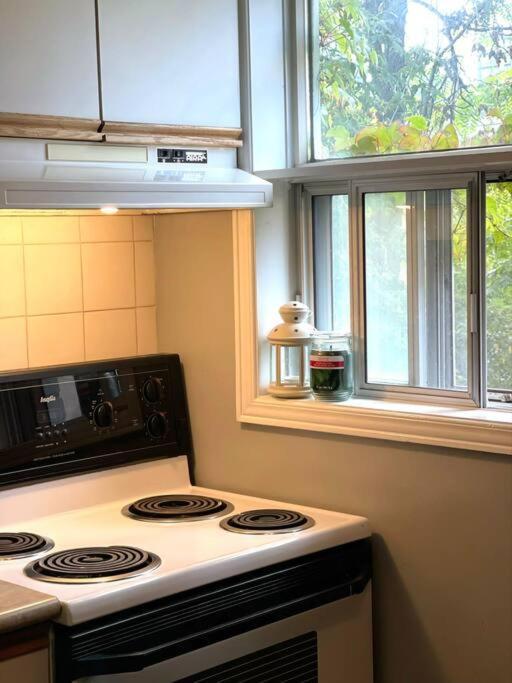 Superb Spacious Loft Old Near Distillery District *