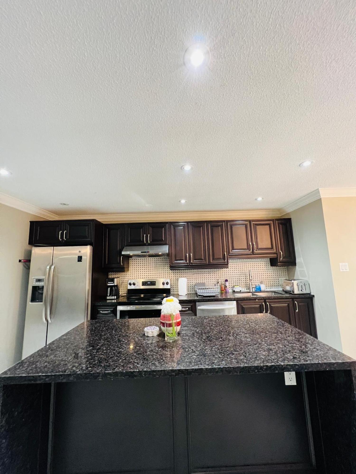 Luxurious House Near Downtown Villa Toronto