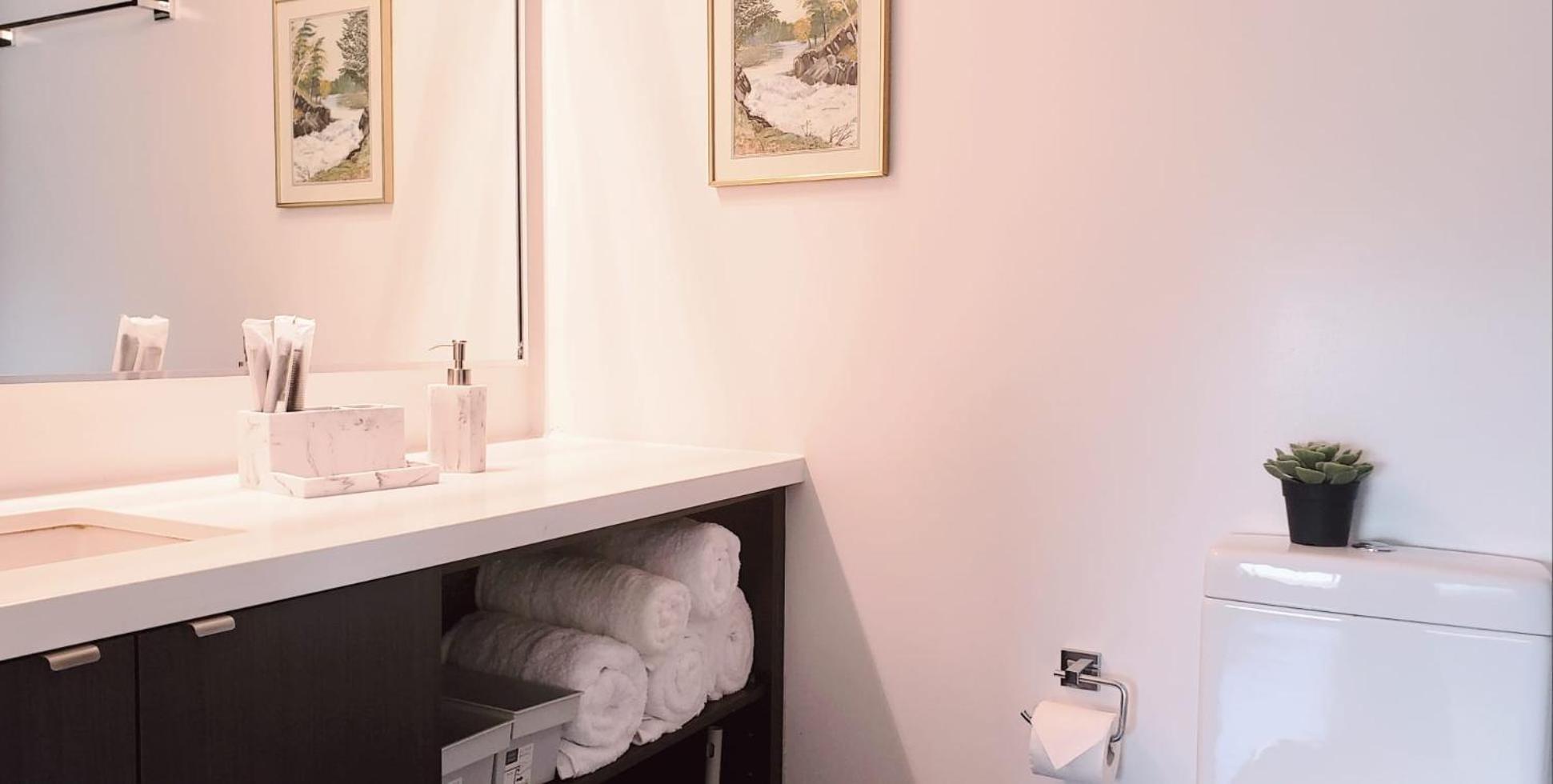 Elegant 2 Bedroom, 2 Bathroom Downtown Retreat With Superior Views * Toronto