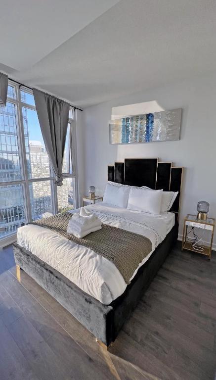 Cozy In Downtown + Free Parking