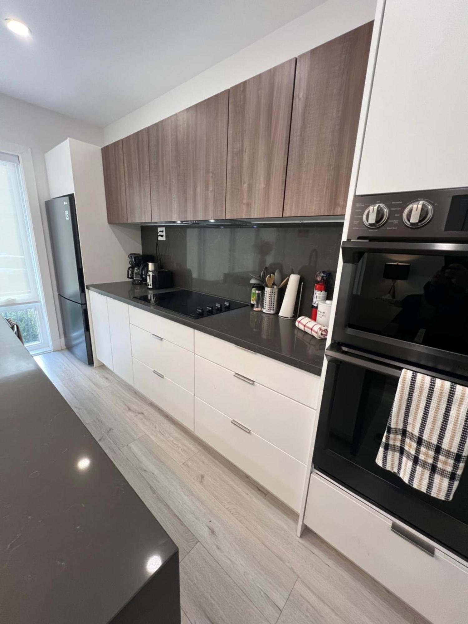 New Modern 3br Loft W Parking&terrace Close To Toronto