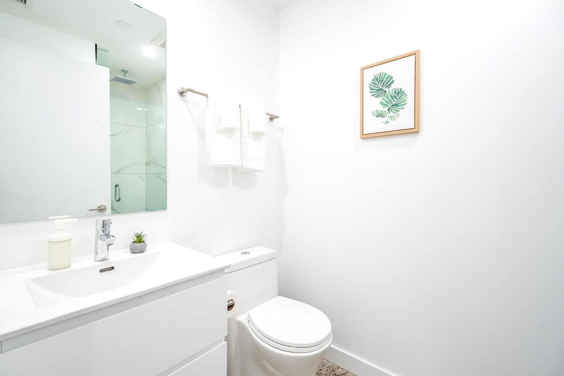 Spacious 2br - Regent Park Near Downtown Apartment *