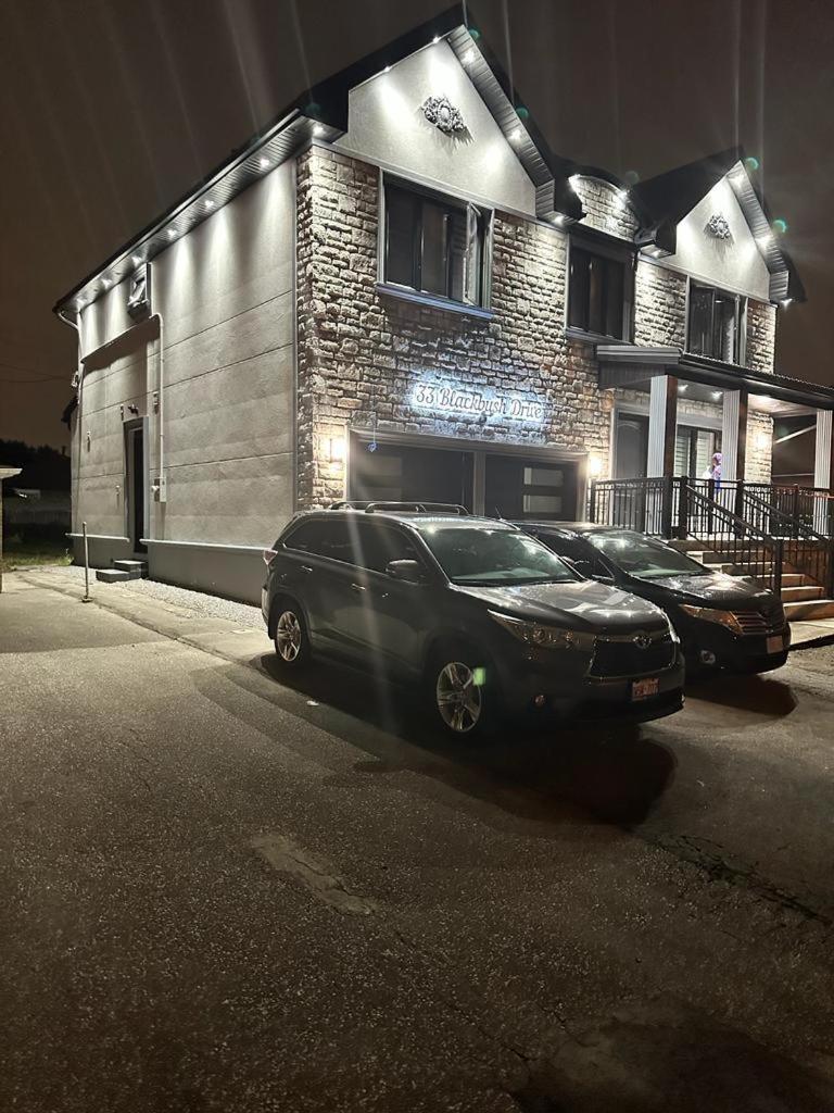 Cozy Basement With Free Parking In