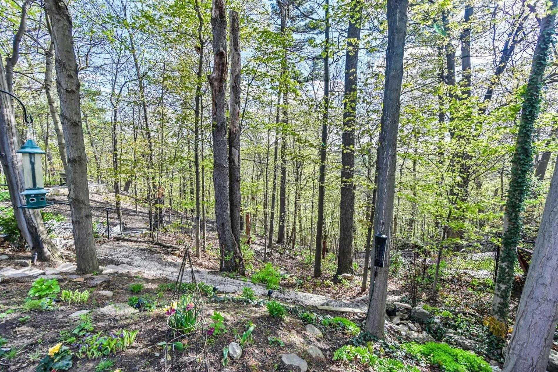 Entire House In Heart Of North York In The Nature *