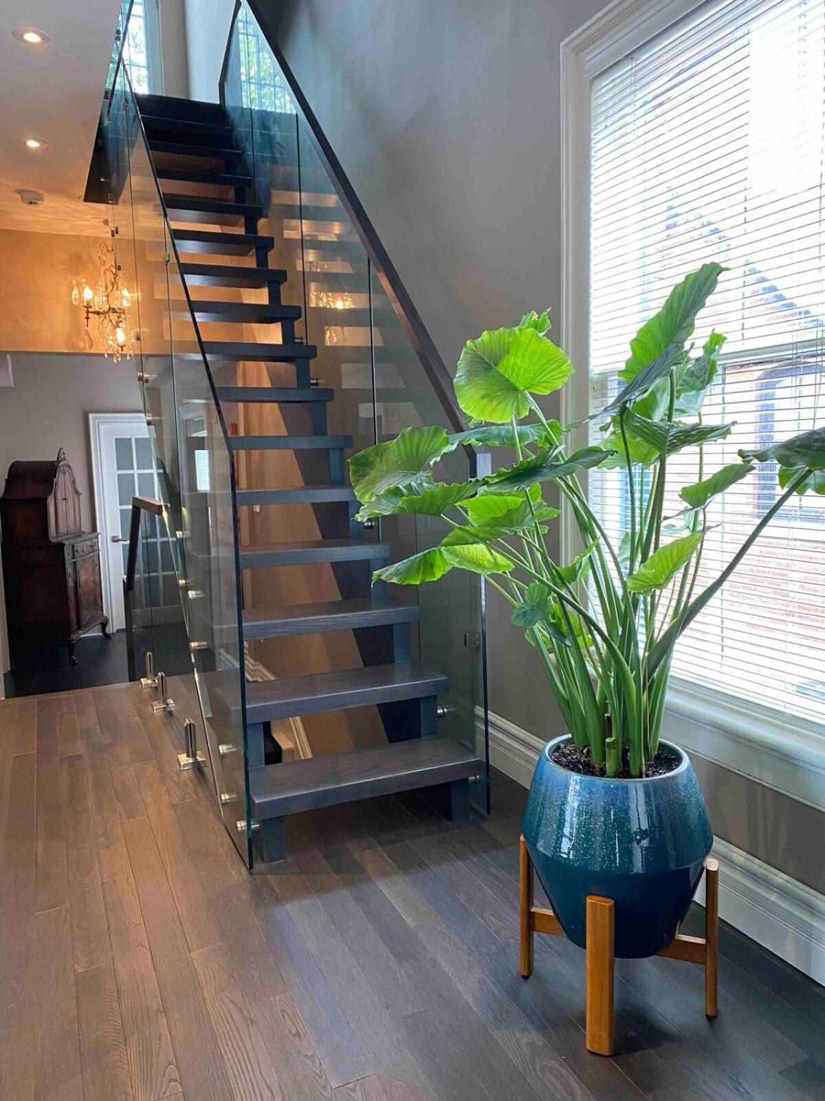 Downtown Luxury Victorian Retreat 4* Toronto