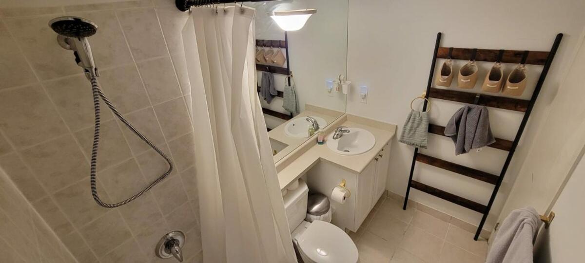 For 2 In Downtown Toronto