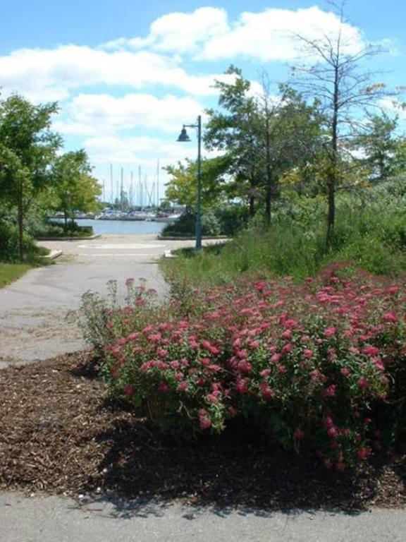 Humber College Lakeshore Campus Toronto