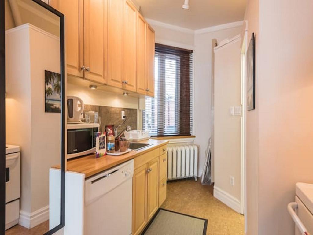 Spacious Bachelor Apartment