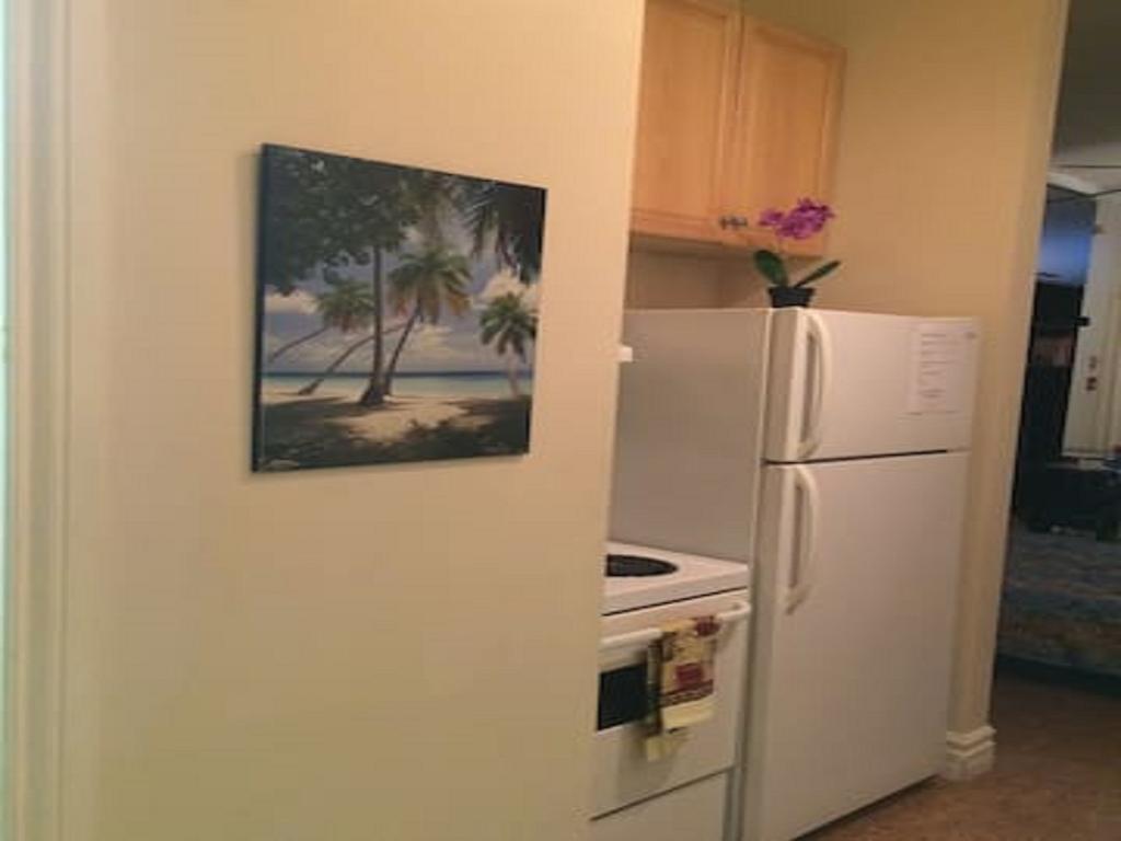 Spacious Bachelor Apartment Apartment *