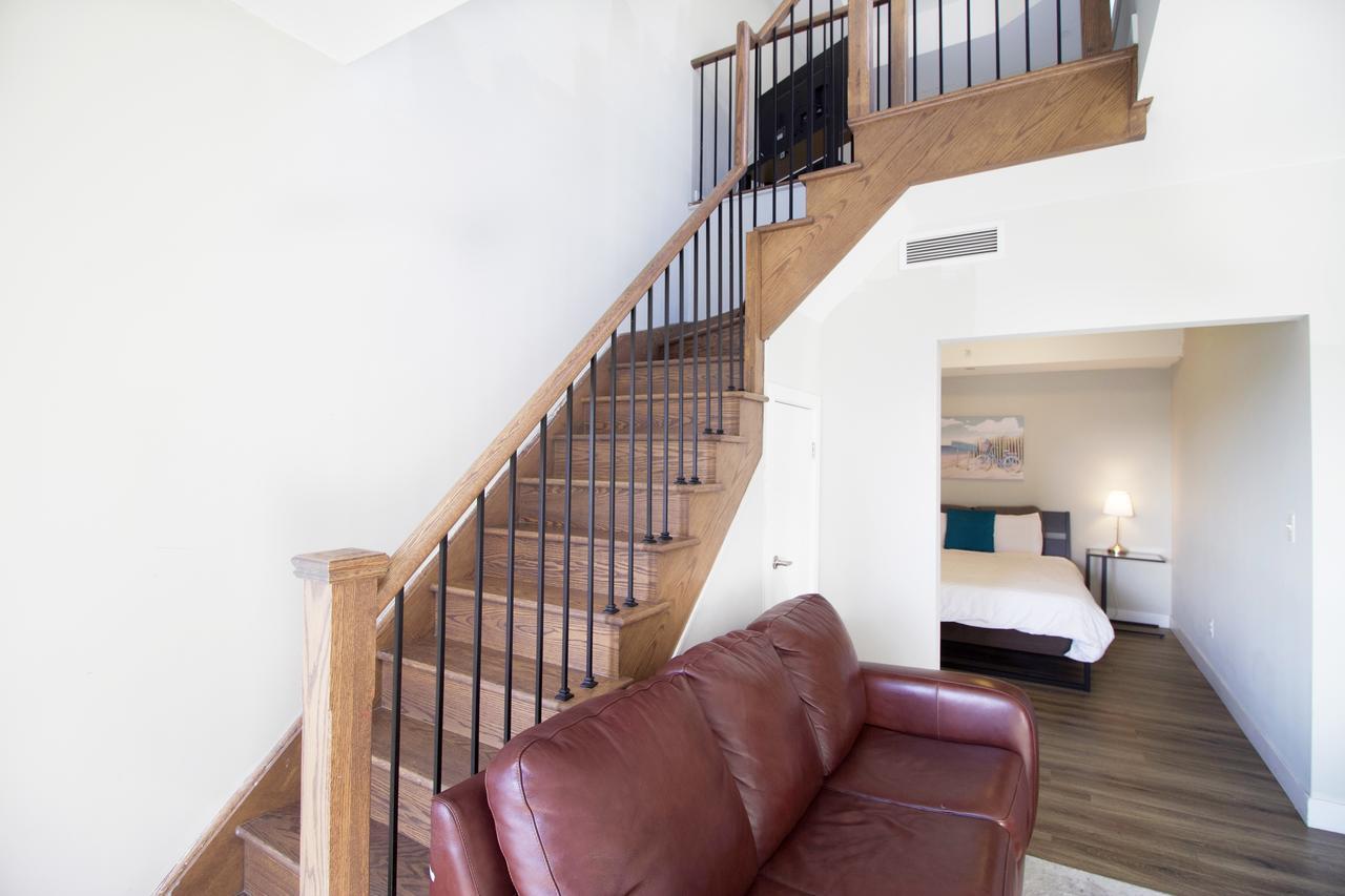 Living - Queens Park Apartment