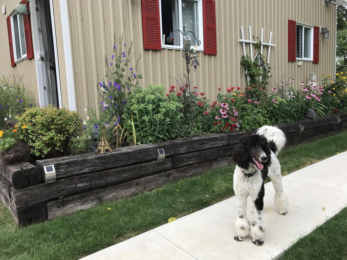 Le Bed & Breakfast Toronto
