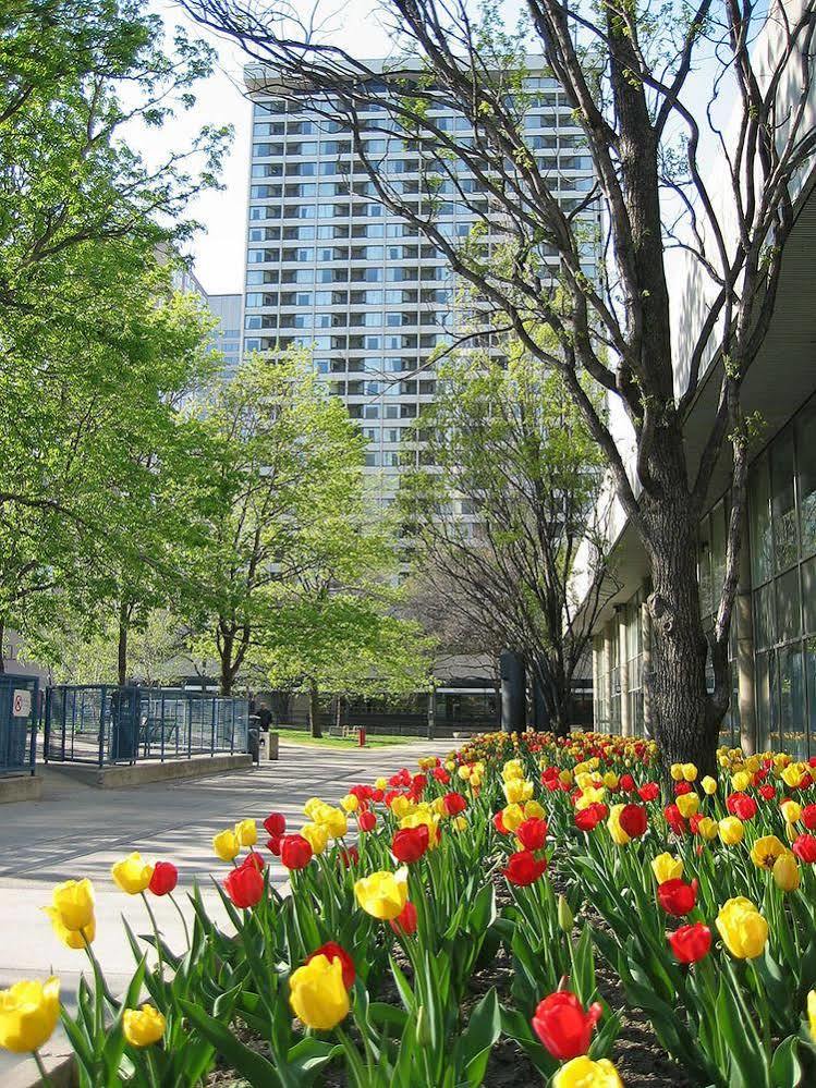 Apartment Chestnut And Conference Centre - Of Toronto