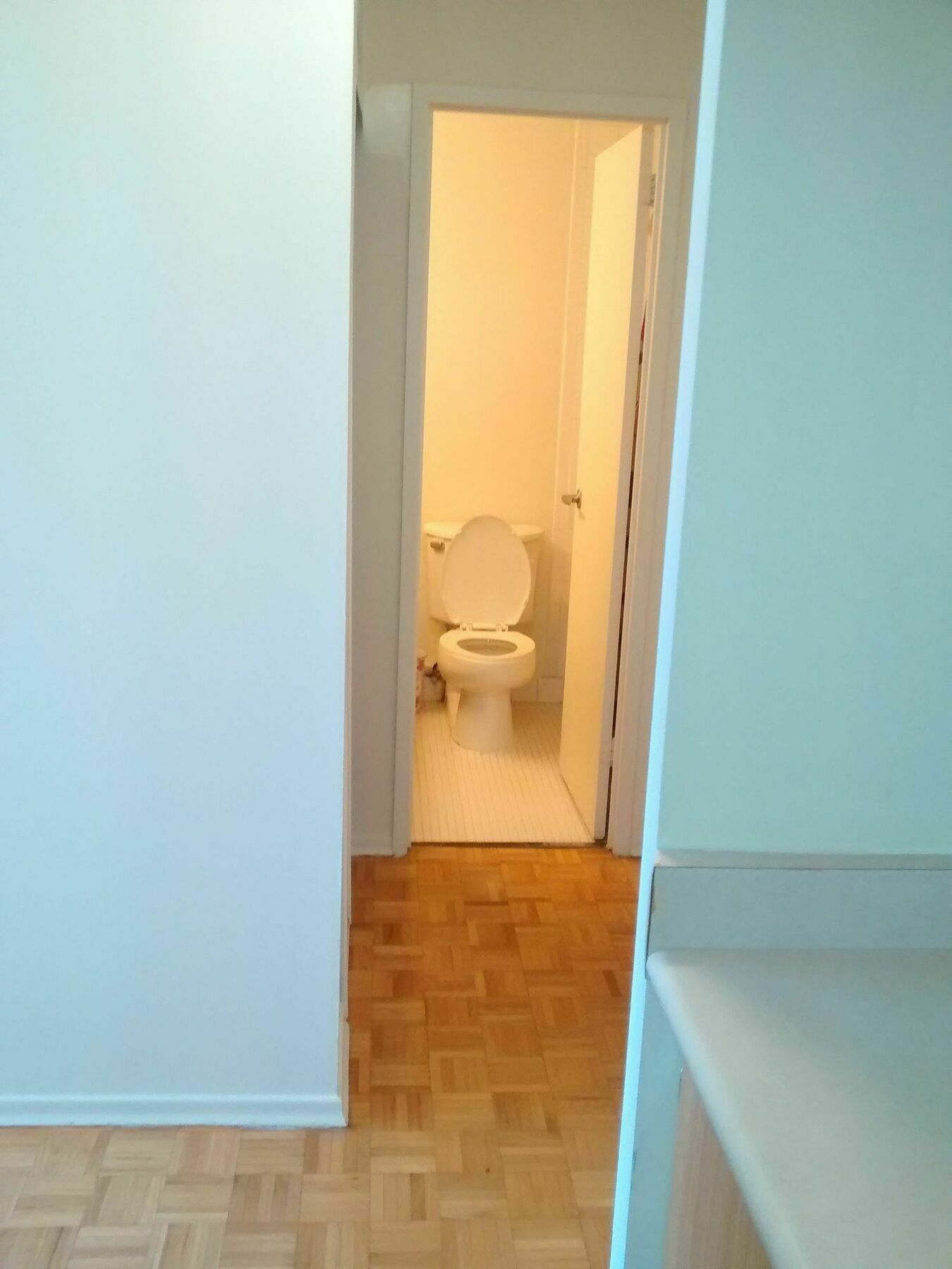 Toronto Furnished Living-Gerard
