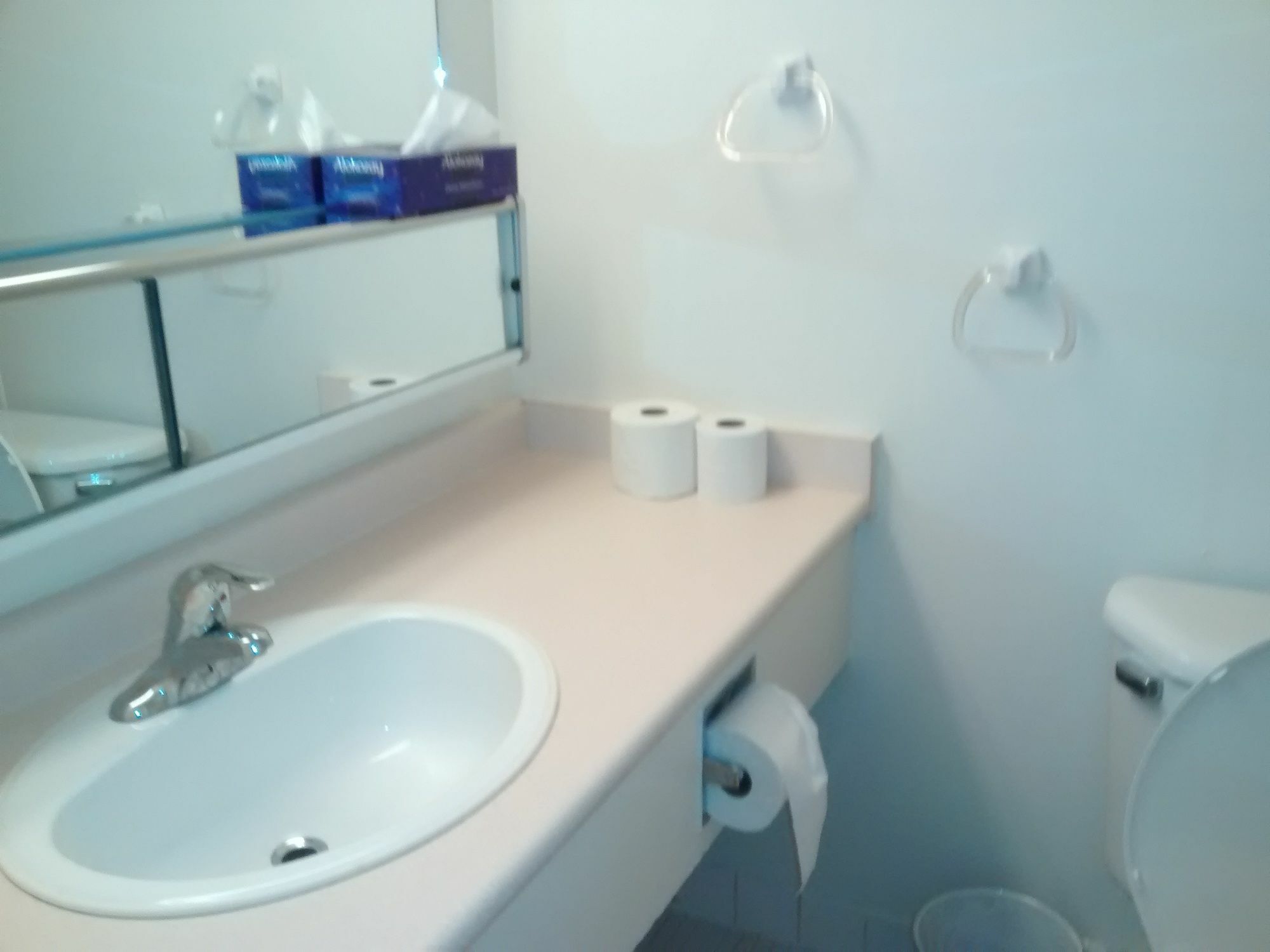 Apartment Toronto Furnished Living-Gerard *