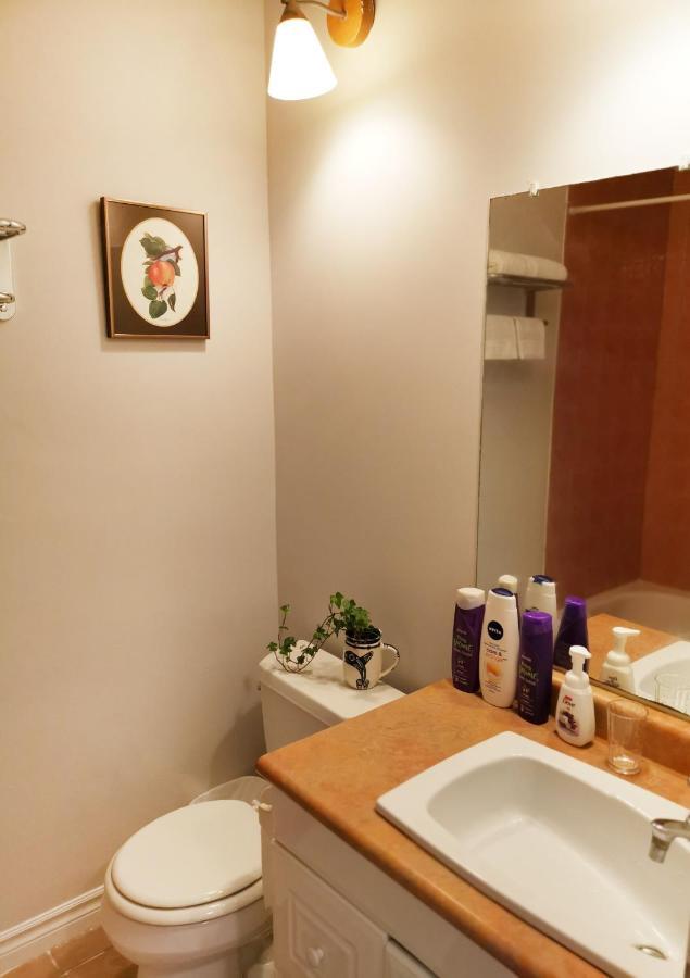 Cozy Private Rm Heart Of North York Free Parking Full Kitchen Close To Downtown Homestay