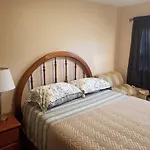 Xs