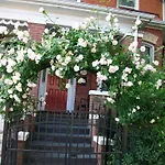 Comfy Guesthouse & Suite