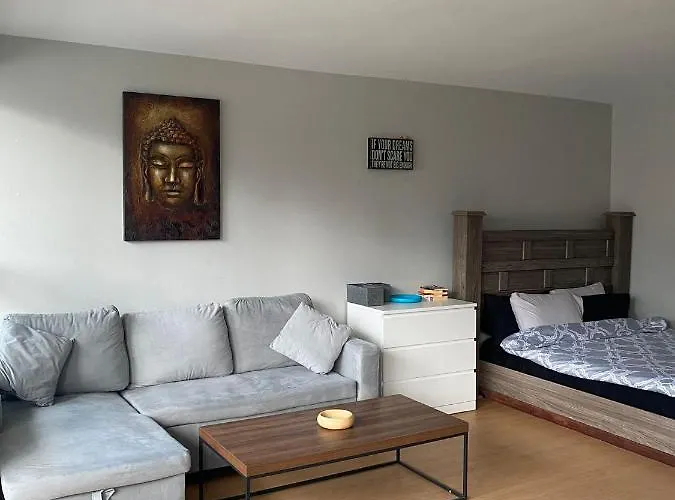 Private Entire Bachelor Downtown