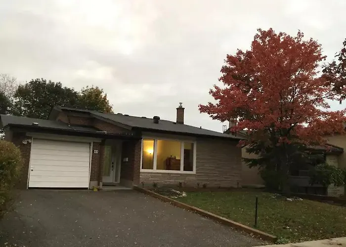 Private Rooms, Free Parking, Full Kitchen, Best Prices In Town- York University Heights