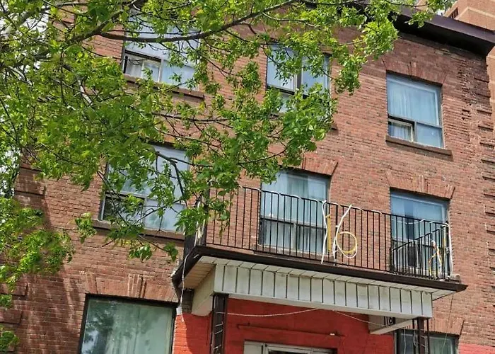 University Apartment