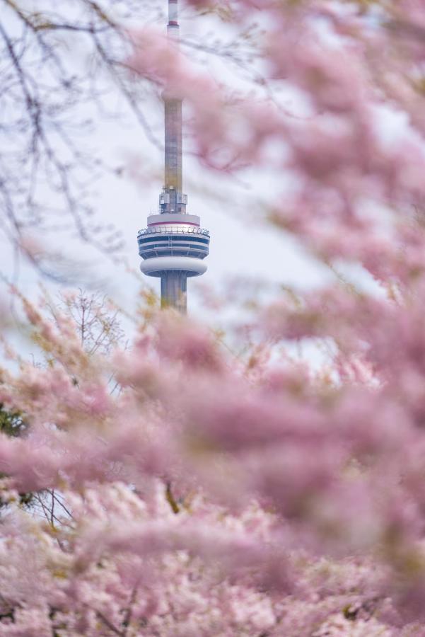 Park Hyatt Hotel Toronto