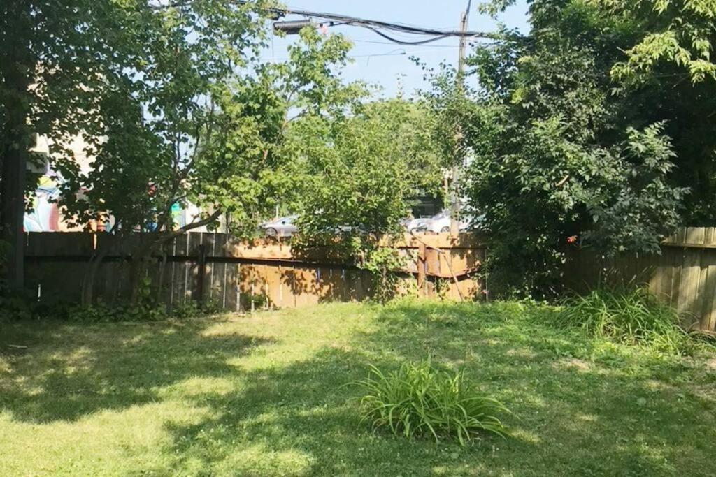 Lovely Leslieville, Exploring Nature In The *