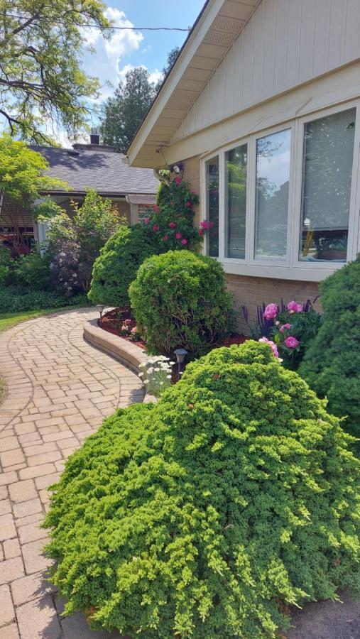 Apartment Private Close To Airport Pearson Toronto