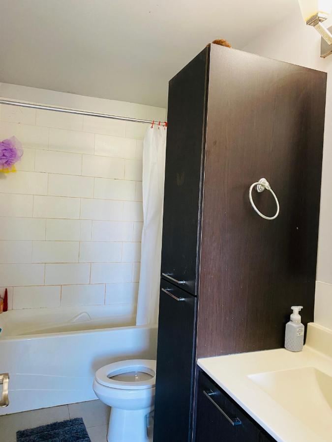 Signature 2 Bedrooms Apartment Space Share Toronto Apartment