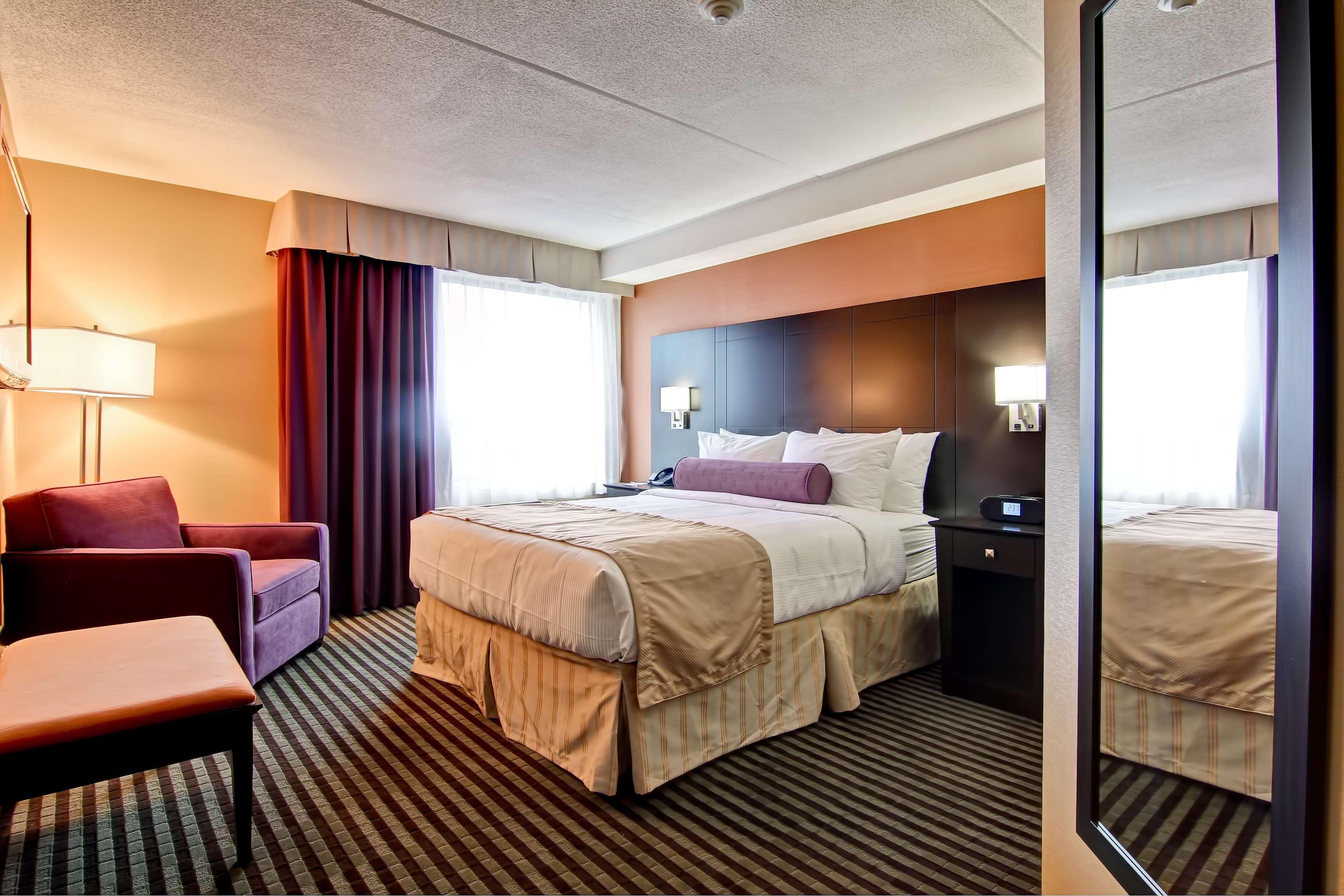 Western North York & 4* Toronto