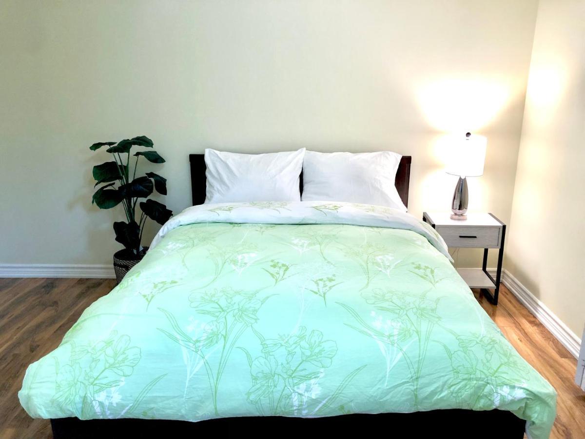 Cozy & Convenient 2-bedroom With Private Entrance * Toronto