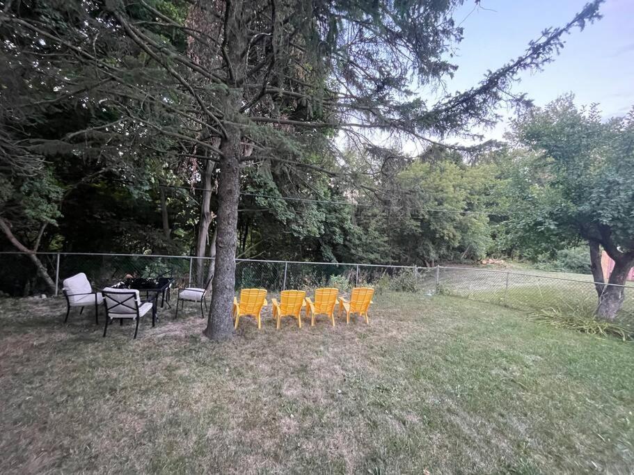 Luxury In With Walkout Patio And Free Parking