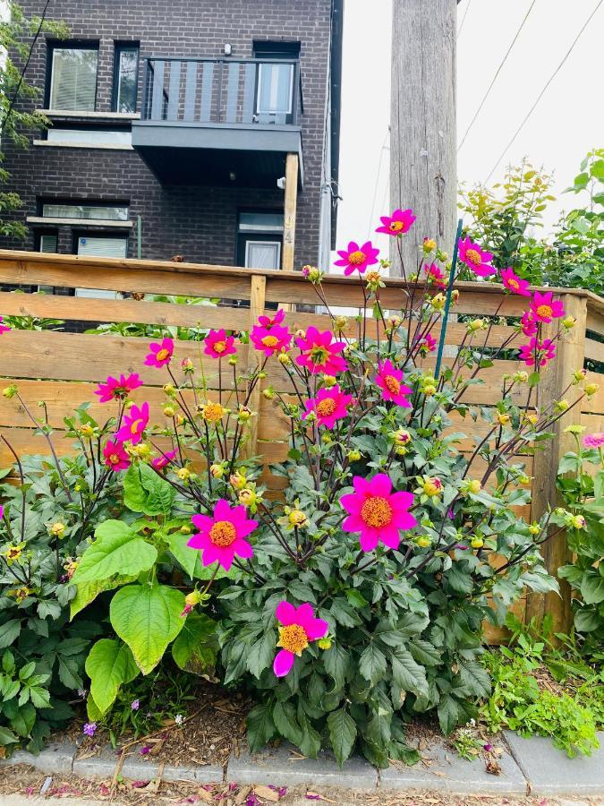 Lovely 3 Bedrooms Space Share Toronto