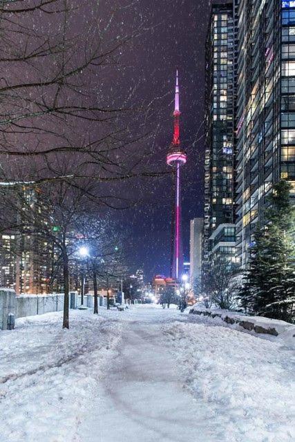 Large 2 Bedrooms Besides Cn Tower *