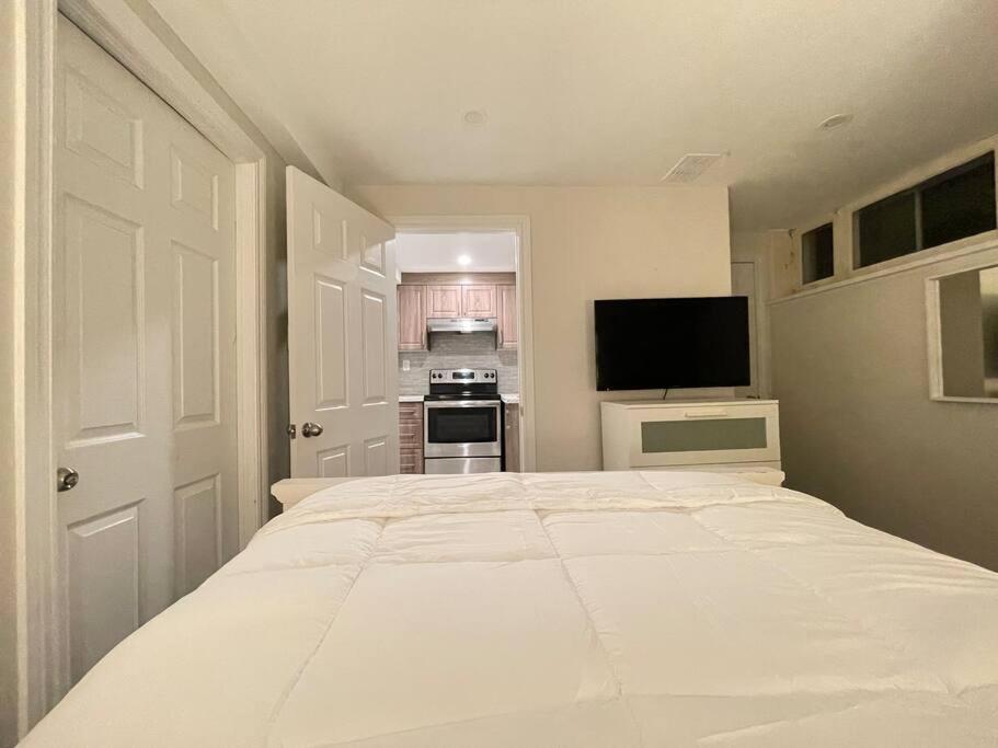 Lovely Junior 1 Bedroom Basement * Toronto