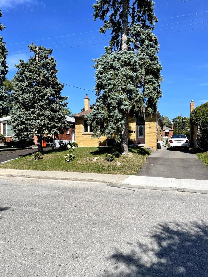 Spacious & Renovated 1bd W/parking